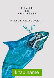 Küçük Su Kütleleri