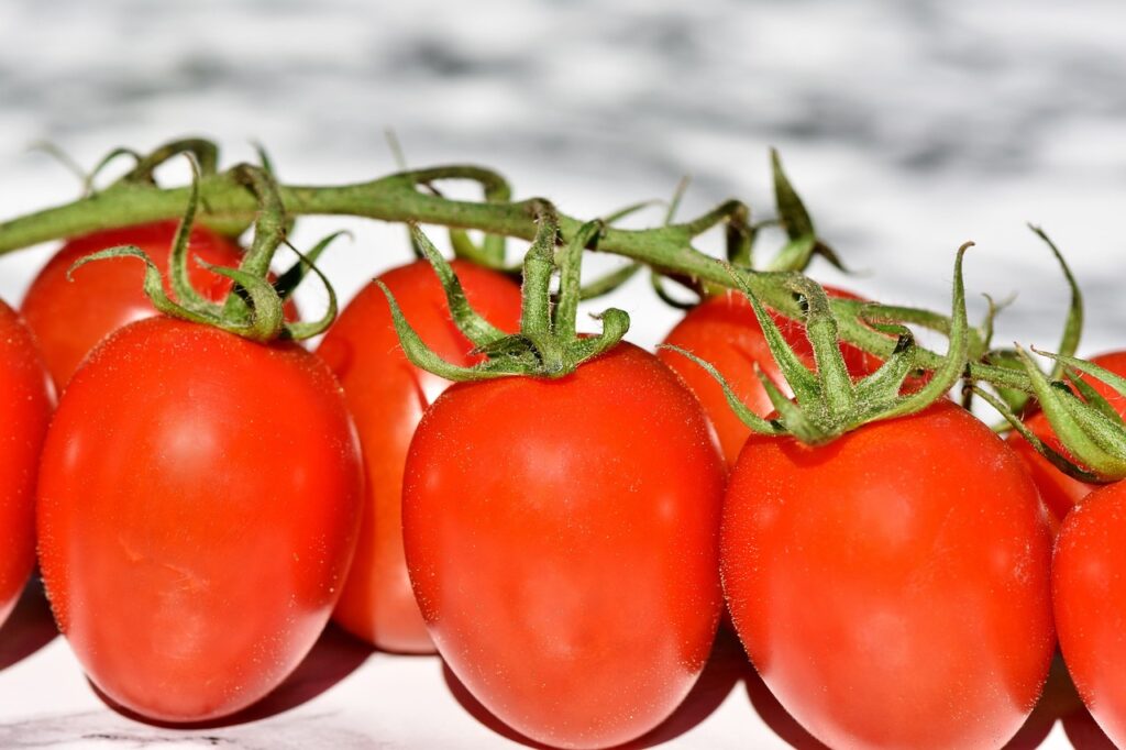 A Vegan and Vegetarian Guide to Turkish Food, Turkey