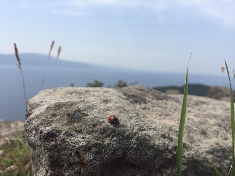 Assos, Turkey
