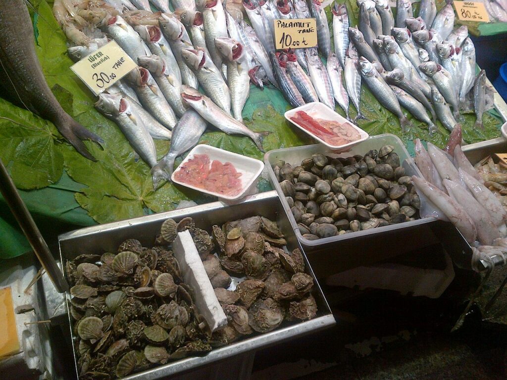Fish and shellfish at Kadıköy in Kadikoy, Istanbul