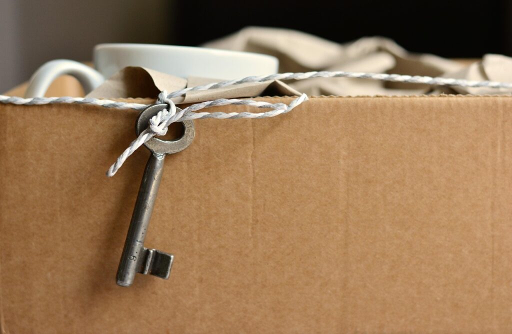 Pet Relocation to Turkey: What You Need to Know
