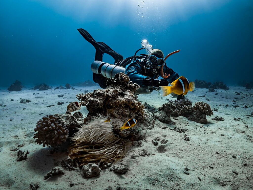 Turkey's Best Scuba Diving Locations